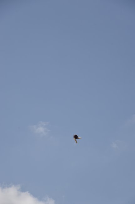 ../previews/319-160611-N-JF840-324.jpg.medium.jpeg